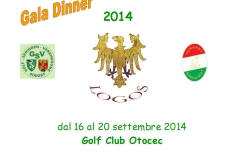 5-nations2014GalaDinner